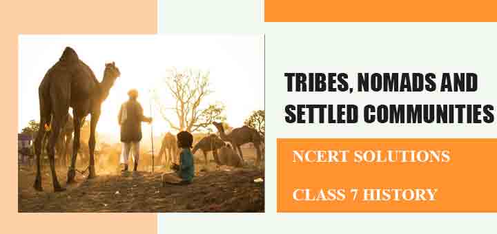 Ncert Solutions For Chapter Tribes Nomads And Settled Communities