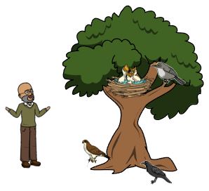 This image has an empty alt attribute; its file name is sanwle-sapno-ki-yaad-2.jpg