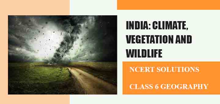 NCERT Solutions for Chapter 8 India: Climate, Vegetation and Wildlife Class 6 Geographyimage