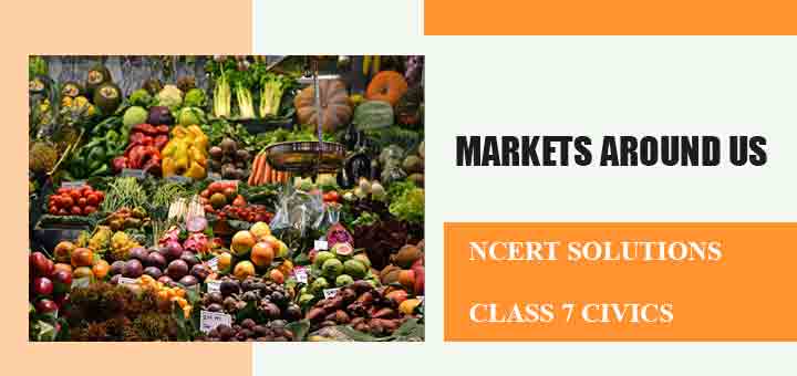 NCERT Solutions for Chapter 7 Markets Around Us Class 7 Civicsimage