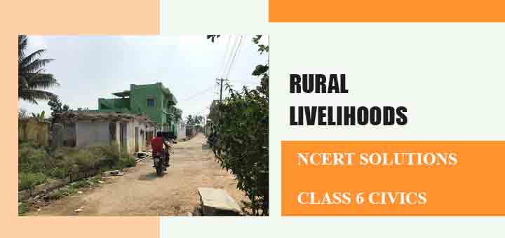 NCERT Solutions for Chapter 8 Rural Livelihoods Class 6 Civicsimage