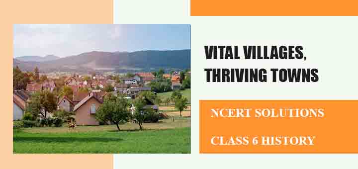 NCERT Solutions for Chapter 8 Vital villages, thriving towns Class 6 Historyimage