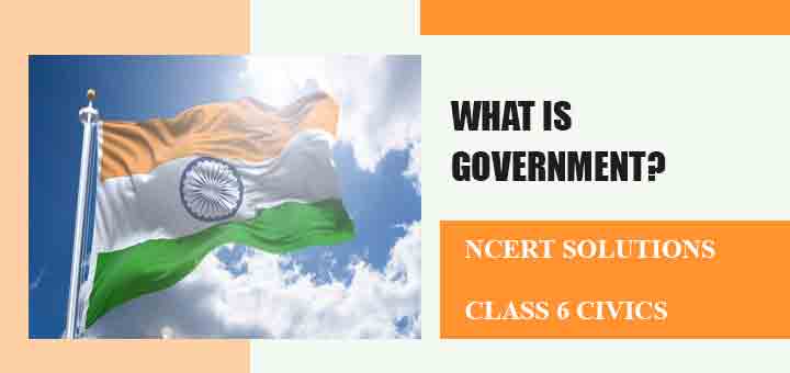 what is government class 6 case study questions